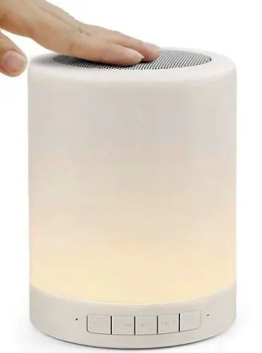 PLAYLEARN-6151B-Fiber-Optics-Wireless-Speaker-Lamp-PRODUCT