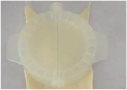 10034566 - How to make ravioli - a