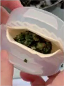 10034566 - How to make ravioli - d