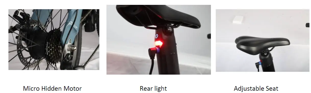 Fiido-D12-250W-Folding-Electric-Bike-2