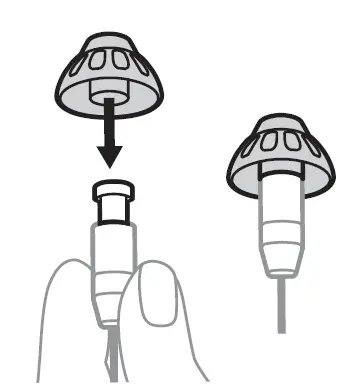 Lexie B1 Receiver Wire 8