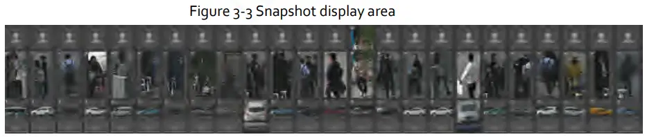 Zhejiang Dahua Vision Technology DH-SD2AY Network PT Camera Web 3.0 - Snapshot display area