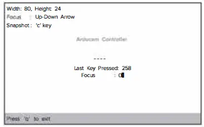 ArduCam B0393 Camera Module for Raspberry Pi-1