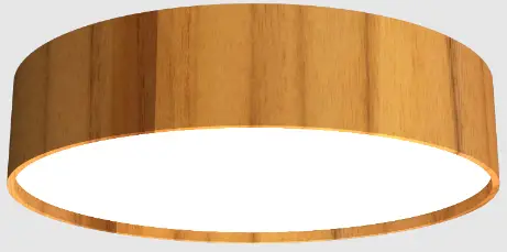 ACCORD-LIGHTING-5048-Ceiling-Lamp-Instruction-product