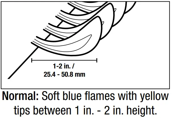 BACKYARD GRILL GBC1429WBRS Outdoor LP Gas Barbecue Grill - need to be cleaned