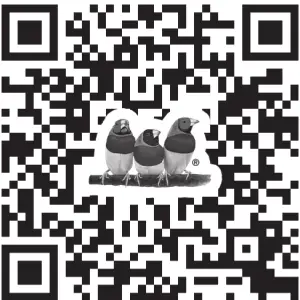 ViewSonic PG706HD DLP Projector - QR