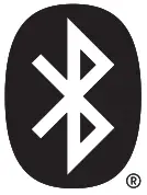 JVC HA-A9T Wireless Headphones - Headphones