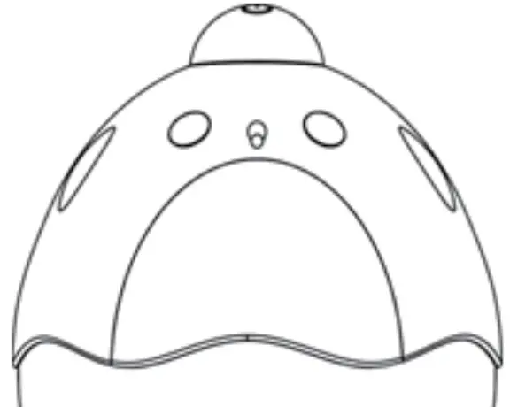 Shenzhen Geerlepol Intelligent Technology ALNSB021 Singing Little Turkey Hand Warmer - FIG