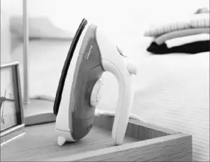 steam dry iron