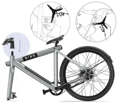 Bird-Rides-C5-Power-Assisted-Electric-Bike-fig-4