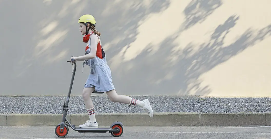 Ninebot Zing C20 Ekick Electric Scooter User Manual Ninebot Zing C20 Ekick Electric Scooter User Manual