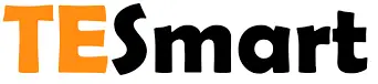 TESmart logo