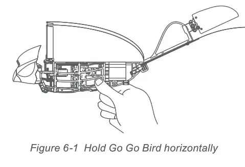 ZING GO GO Bird - Fig 6.1