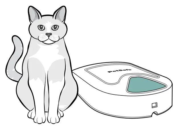 PetSafe B000GEWHNS 5 Meal Pet Feeder - desired food