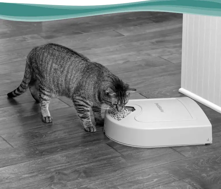 PetSafe B000GEWHNS 5 Meal Pet Feeder - fig