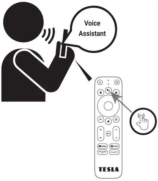 Voice Assistant Instruction