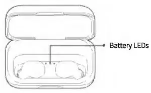 FIG 9 LEDs on Charging Case
