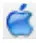 Apple icon