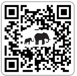 connect IT CMO 4040 BK Wireless Mouse - qr1