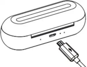 Charging Instructions