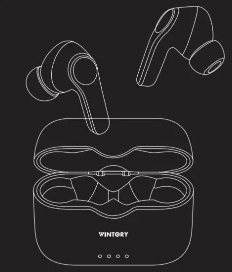 WINTORY POD2 TWS HiFi Super Bass Earphone.JPG