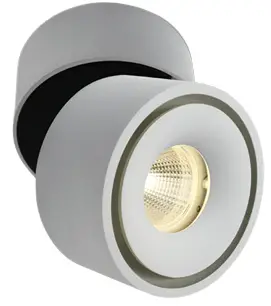 oneLIGHT-12124x-Ceiling-Fixed-Spot-Cylinder-PRO