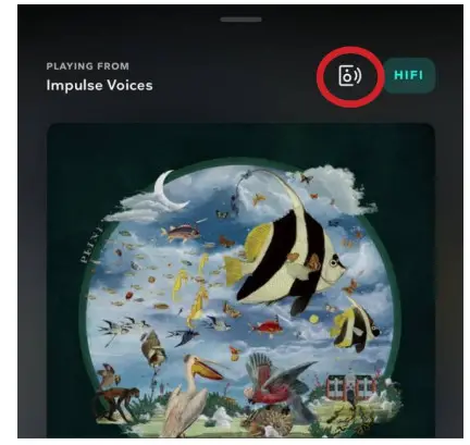 MUSICAL FIDELITY MX-Stream Audiophile Bit-Perfect Streamer - Figure 3