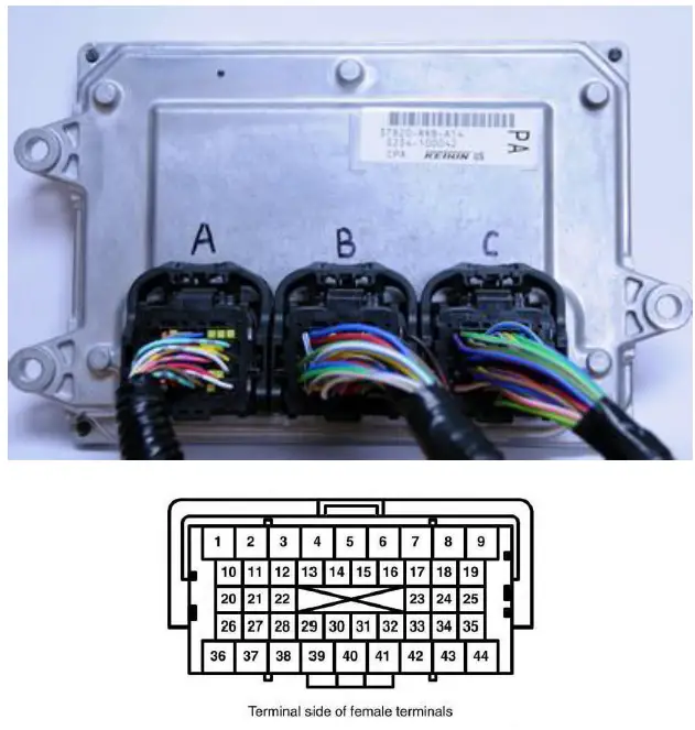 SIRHC-LABS-2006-2011-Honda-Civic-Si-44-Pin-Connectors-fig-1