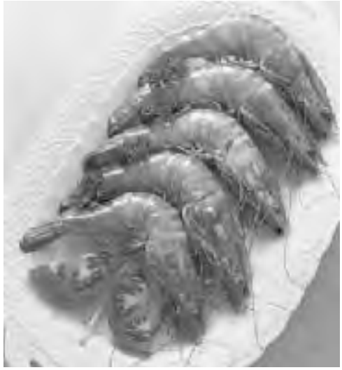 Midea EG823A4X Microwave Oven with Grill - Fig 34