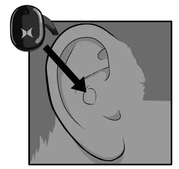 XTREME XBE9-0104 Lynx True Wireless Earbuds - Insert