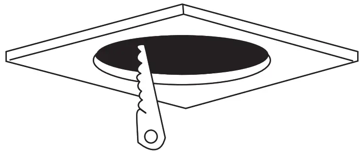 BRAYTRON BD02-00781 LED SpotLight - 2