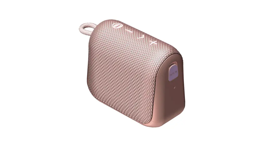 Rayconglobal The Everyday Speaker Rbs920 User Guide