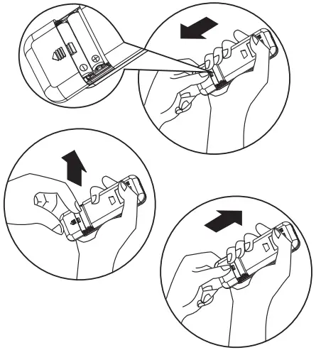 Insert the Batteries