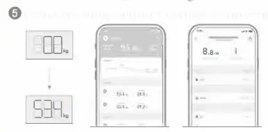 PICOOC MINIPRO-2 Smart Body Fat Scale fIG5
