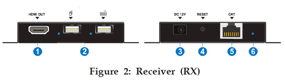 Receiver (RX