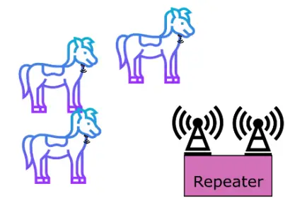 RPH20-Smart-Foal-Foaling -Alarm-System-Repeater-6
