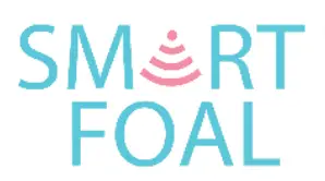 SmartFoal
