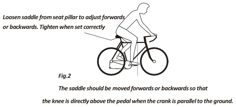 BEZIOR XF800 Electric Bike - fig 1