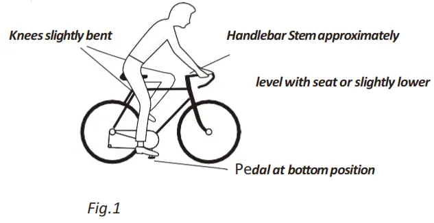 BEZIOR XF800 Electric Bike - fig