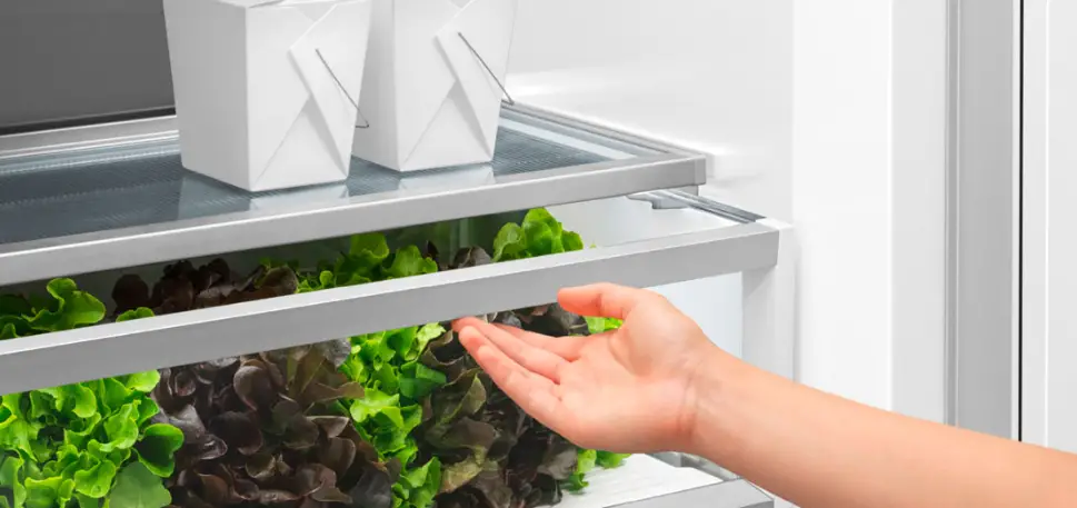 Fisher Paykel Akrs12010 Toe Kick For Dual Install Rs6019 User Guide