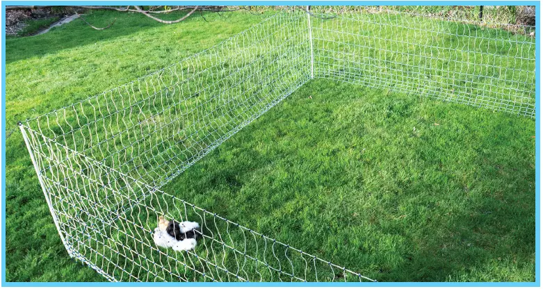 STARKLINE-PN48164KT-Electric-Netting-Kit-fig-12