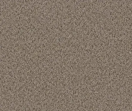 trafficMaster-H2038-803-1200-Sand-Indoor-12 ft.-Texture-Beige-Carpet-PRODUCT-IMAGE