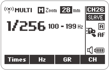 NEEWER Z1 TTL Li ion Round Head Camera Flash - Shooting with 2