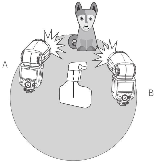 NEEWER Z1 TTL Li ion Round Head Camera Flash - slave groups.