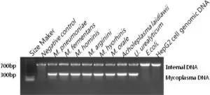FIG 1 Kit Specificity