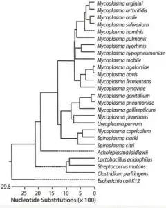 FIG 2 Kit Specificity