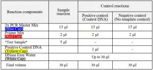 FIG 4 Prepare for PCR