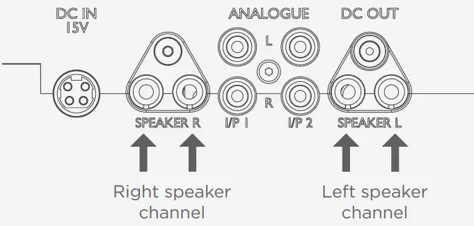 CHORD Anni Desktop Integrated Amplifier+-Connecting to loudspeakers