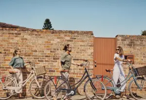 LeKKeR Jordaan 3 Speed Womens eBike -Assembly