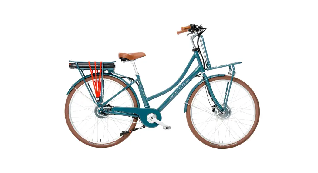 Lekker Jordaan 3-speed Womens Ebike Instruction Manual